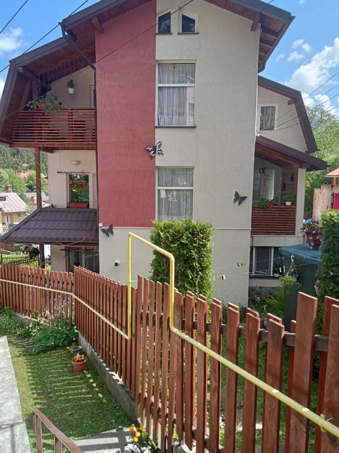 Отель Casa Crisandri Буштени Экстерьер фото